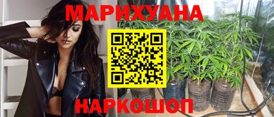 стаф Лесосибирск