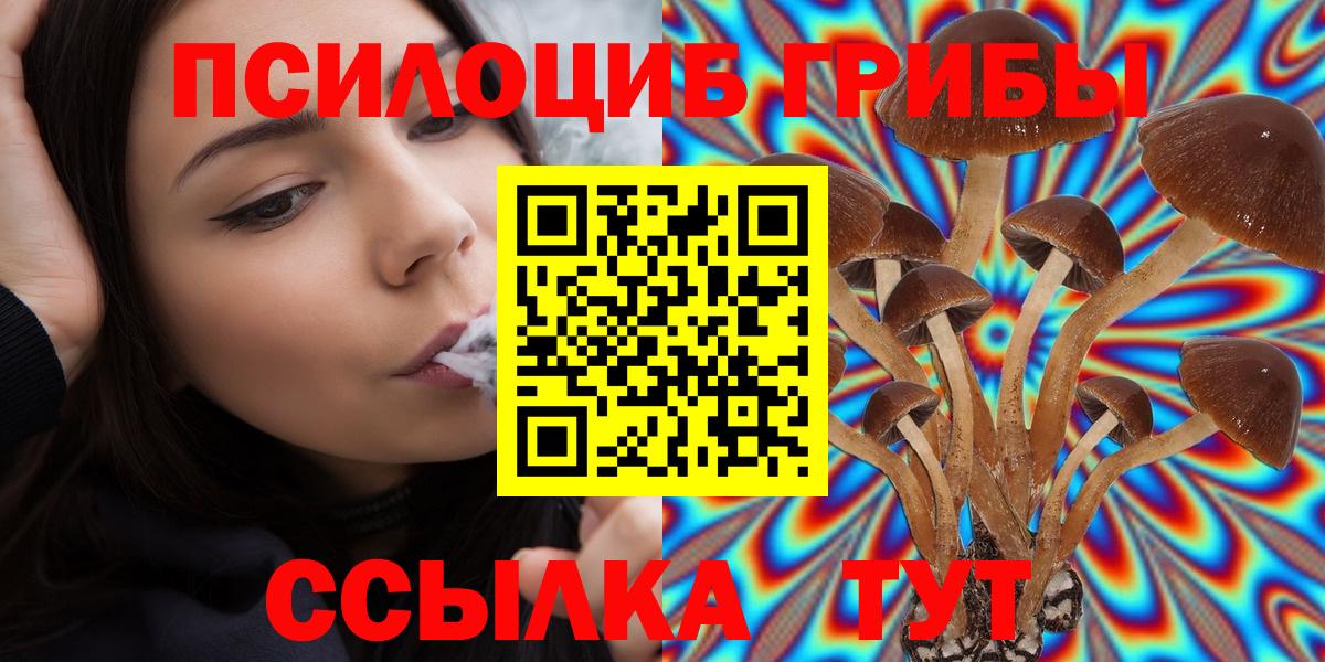 Псилоцибиновые грибы прущие грибы  Галлюциногенные грибы прущие грибы  Избербаш  Вход с VPN 